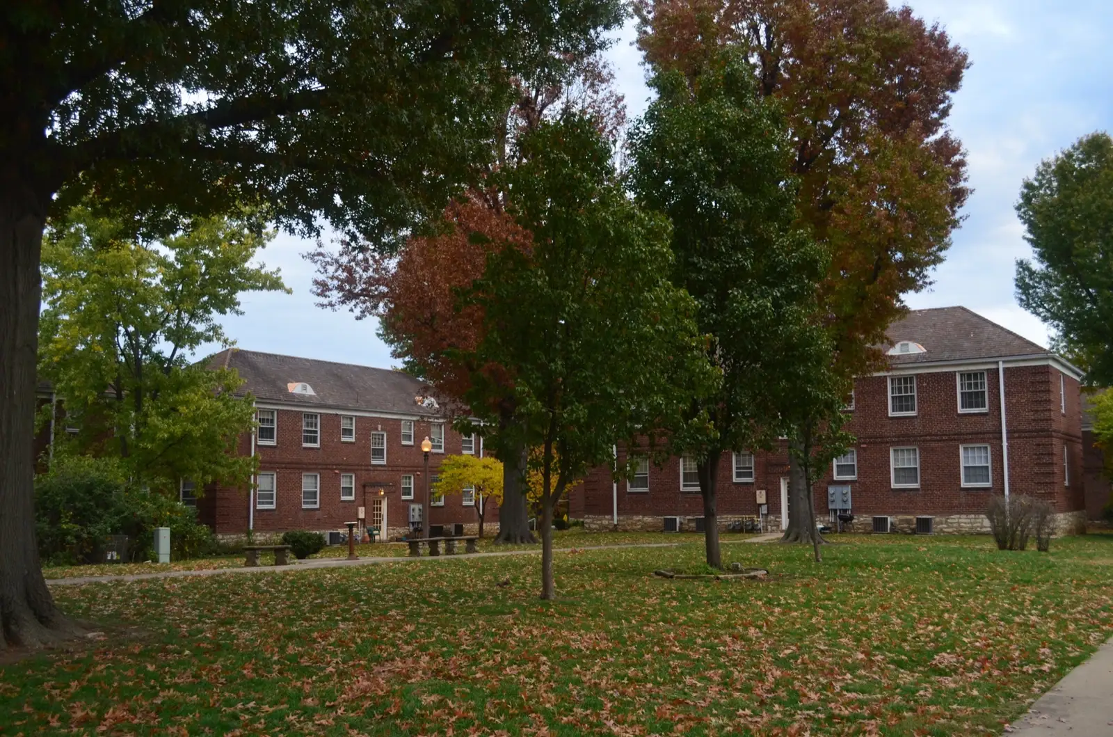 Tree-lined courtyard at Jefferson Heights Apartments